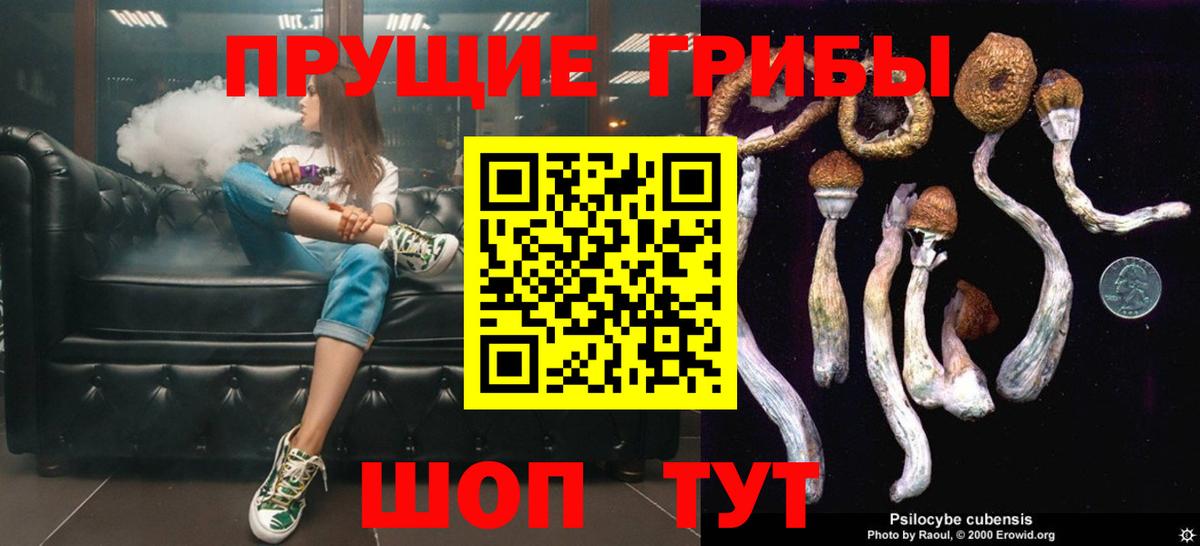 Медногорск  Галлюциногенные грибы Cubensis  Вход с VPN 